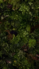 Muurstickers Creatieve natuur muur achtergrond, tropische blad banner of bloemen jungle patroon concept. © kelvn