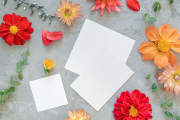 Inspiring layout of blank paper cards and flowers. Aesthetic artistic background. 