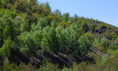 view of the Shcherbakovskaya beam