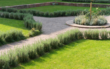 Fototapeta na wymiar Path in a green garden parkland; lawn area fringed with grasses and herbs