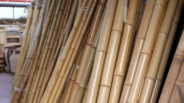 Bamboo poles in gardening shop or storage house