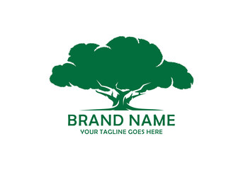 Oak tree logo design vector illustration