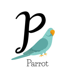 Capital letter P for Parrot, with blue little bird, childish preschool alphabet