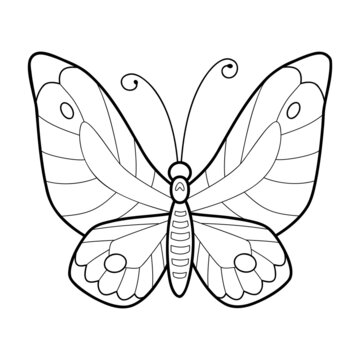 Coloring book or page for kids. Butterfly black and white