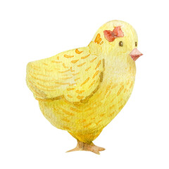 Little chick with a red bow watercolor illustration on white background.