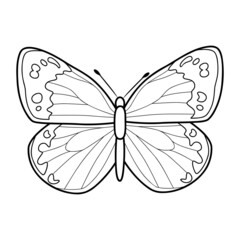Coloring book or page for kids. Butterfly black and white