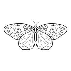 Coloring book or page for kids. Butterfly black and white
