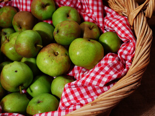 Basket of fresh green baking apples medium shot