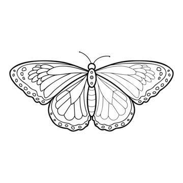 Coloring book or page for kids. Butterfly black and white