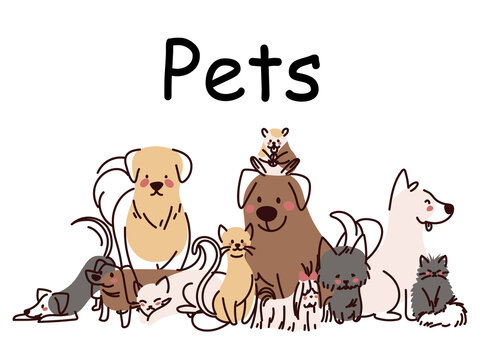 pets cute animals