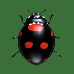 Insects are ladybugs. 3d illustration