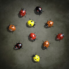 Insects are ladybugs. 3d illustration