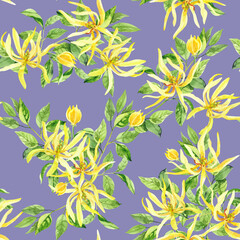 Fototapeta premium Watercolor hand painted ylang ylang branch and flowers. Watercolor hand drawn seamless pattern, wallpaper, wrapping paper, aromatherapy, essential oils