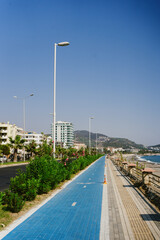 Symbol to indicate the road for bicycles. Blue path among green trees with blue sky on horizon