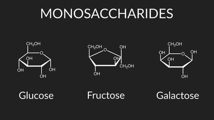 Vector illustration of monosaccharides: glucose, fructose, and galactose. - obrazy, fototapety, plakaty