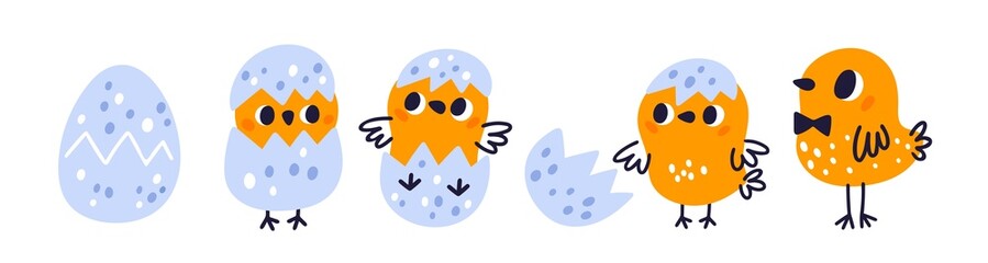 Chicken hatching from eggs. Cartoon baby bird. Birth and development stages. Yellow fluffy nestling. Cracked shell. Animal life cycle. Poultry growth step. Vector newborn chicks set