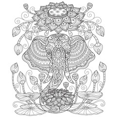 Elephant and lotus hand drawn for adult coloring book