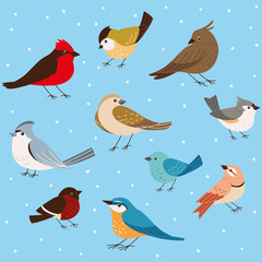 birds on blue background