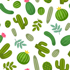 Cactus Seamless Pattern on White Background. Vector