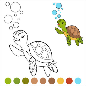 Color me: marine animals. Cute little baby sea turtle swims undeerwater and smiles.