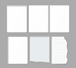 Realistic spiral notebook. Metal pages binding. Different paper markup types. Blanked 3D notepads and torn out sheets. Metallic wire binder. Note perforated edges. Vector copybooks set