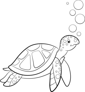 Coloring page. Cute smiling sea turtle swims underwater with bubbles.