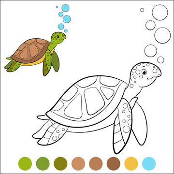 Color me: marine animals. Cute smiling sea turtle swims underwater with bubbles.