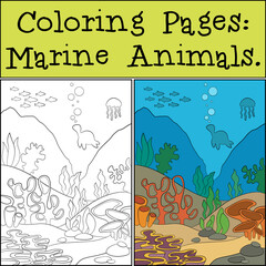 Coloring Page with example. Underwater landscape. At the bottom there are stones and various algae grow. Fish and other marine animals swim in the water.