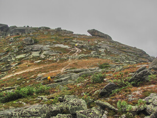 Reserve Ergaki summer season Siberia.