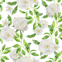 Watercolor hand painted jasmine branch and flowers. Watercolor hand drawn seamless pattern, wallpaper, wrapping paper, aromatherapy, essential oils