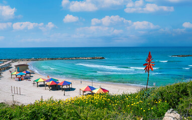 Beautiful Hilton beach in the summertime in Tel-Aviv, Israel - obrazy, fototapety, plakaty