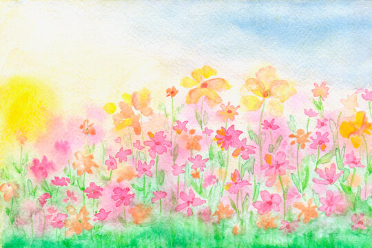 Watercolor art illustration of flowers. Picturesque landscape of flower field. Hand drawn