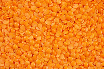 Heap of slip red lentils on a white bowl.