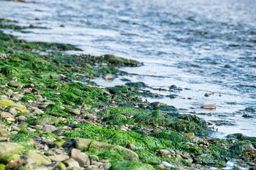 Ein Steinstrand an der irischen Westküste