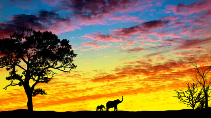Naklejka na ściany i meble Desert landscape with a beautiful sunset and the silhouette of an elephant with a baby elephant in the distance. Desert at sunset.