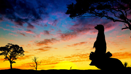 Desert landscape with a beautiful sunset and a silhouette of a meerkat sitting on a tree. Desert at...