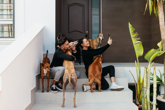 Happy couple taking a selfie with their dogs at home