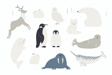 Cute Arctic animals big set. Polar bear, penguin, arctic hare, fox, reindeer, beluga whale, narwhal, walrus, snowy owl, seal, isolated on white. Hand drawn vector illustration. Winter animal character