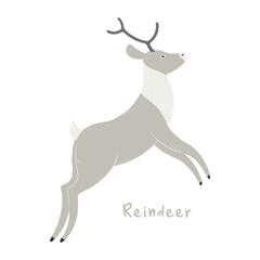 Cute cartoon reindeer, isolated on white. Hand drawn vector illustration. Winter animal character. Arctic wildlife, nature. Design concept for kids fashion, textile print, poster, card, baby shower.