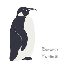 Cute cartoon emperor penguin, isolated on white. Hand drawn vector illustration. Winter animal character. Antarctic wildlife. Design concept for kids fashion, textile print, poster, card, baby shower.