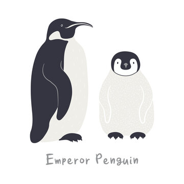 Cute cartoon emperor penguins, isolated on white. Hand drawn vector illustration. Winter animal character. Antarctic wildlife. Design concept for kids fashion, textile print, poster, card, baby shower