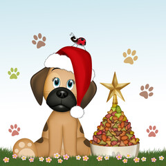 the dog celebrates christmas and makes the tree with croquettes