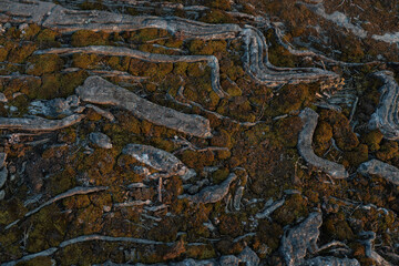 The texture of the rocks. Photo of nature texture of stones. Close-up. high quality photo. Finnish nature