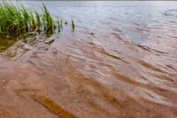 Sandy shore of the lake. Transparent water close-up.