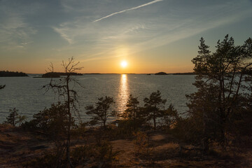 Fototapeta na wymiar Sunset on the sea, rocks and northern low pines. Finnish nature. Turku. Vacation, vacation, relaxation concept