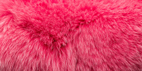 Natural fur, dyed bright pink. Panorama.