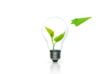 Green energy concept, Light bulb with sprout inside and green paper plane on white background.