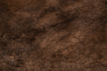 The sheep's fur is brown. Background, fur texture.