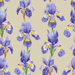 Watercolor hand painted iris plant flower. Watercolor illustration seamless pattern, wallpaper, wrapping paper, aromatherapy, essential oils