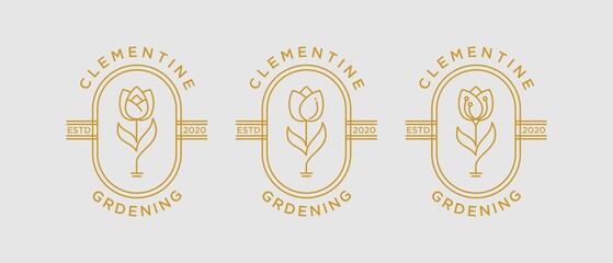 Group set Rose flower petal line and branch with leaves vector logo emblem design template illustration simple linear style